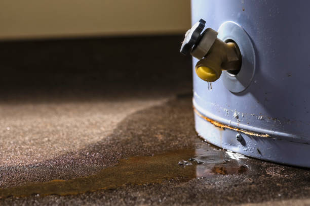 Best Carpet water damage restoration  in Hephzibah, GA