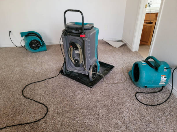 Best Water damage restoration near me  in Hephzibah, GA