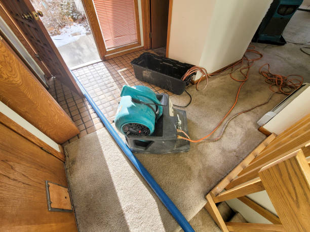 Best Professional water damage repair  in Hephzibah, GA