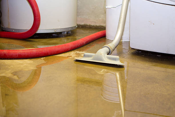 Best Flood restoration services  in Hephzibah, GA