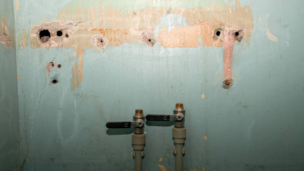 Best Water damage restoration experts  in Hephzibah, GA