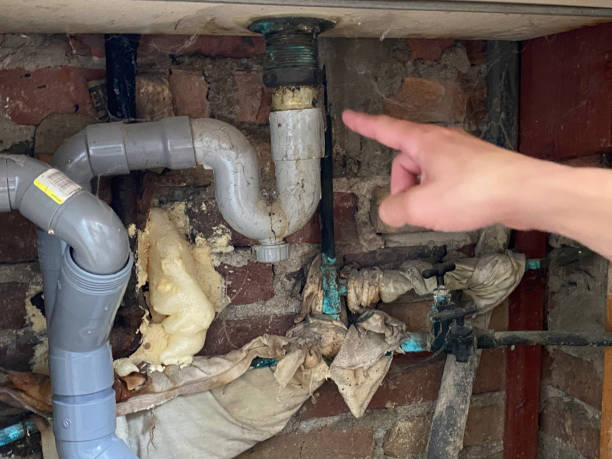 Best Local water damage restoration  in Hephzibah, GA